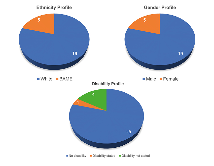 Pie Chart Image of the Equality Profiles - January 2022