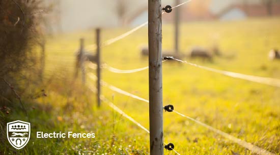 Electric Fences