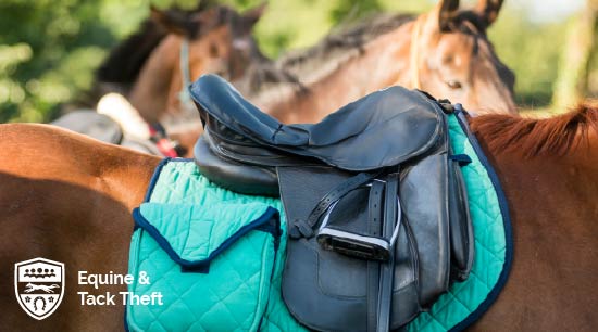 Equine & Tack Theft