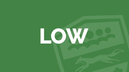 Low Cost Interventions