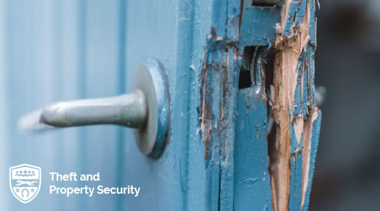 Theft & Property Security