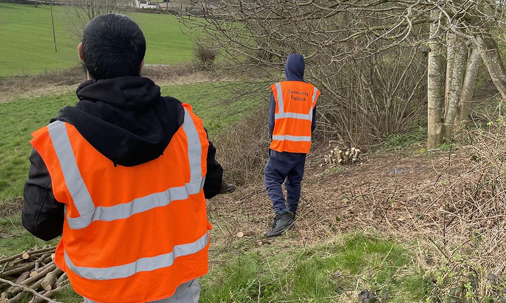 Coppicing 2 13